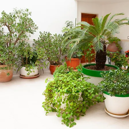 Atalaya Bosque Apartment Peguera